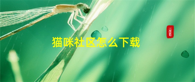 猫咪社区官网址一的简单介绍