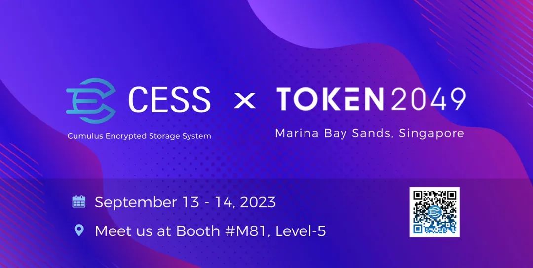 token,token pocket钱包下载