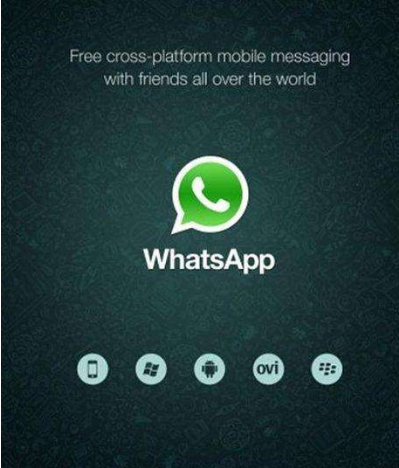 whatsapp和skype哪个好,whatsapp和whatsapp business