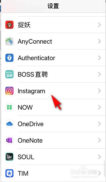 苹果下载ins软件怎么才能用,苹果下载instagram软件