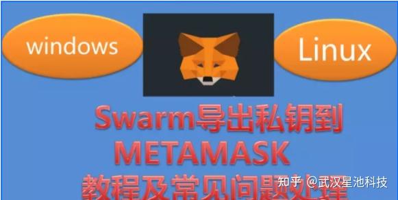 小狐狸钱包如何导入私钥,小狐狸钱包如何导入私钥卡