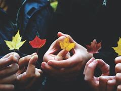 tokenistic的意思,token是什么意思用来干嘛的