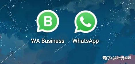 whatsappbusiness,whatsappbusiness官方网下载