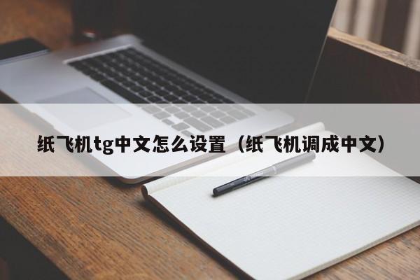 纸飞机怎么弄中文版本,纸飞机怎么设置中文版教程