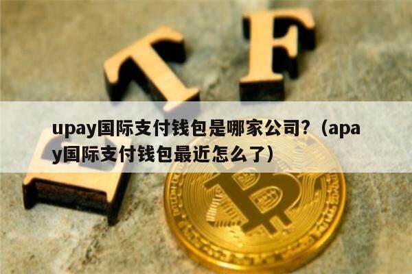 u钱包国际支付,一个u币等于多少人民币