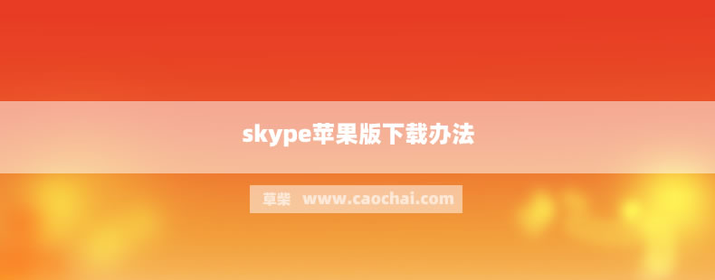 skypeapp是什么,skype软件是干什么的
