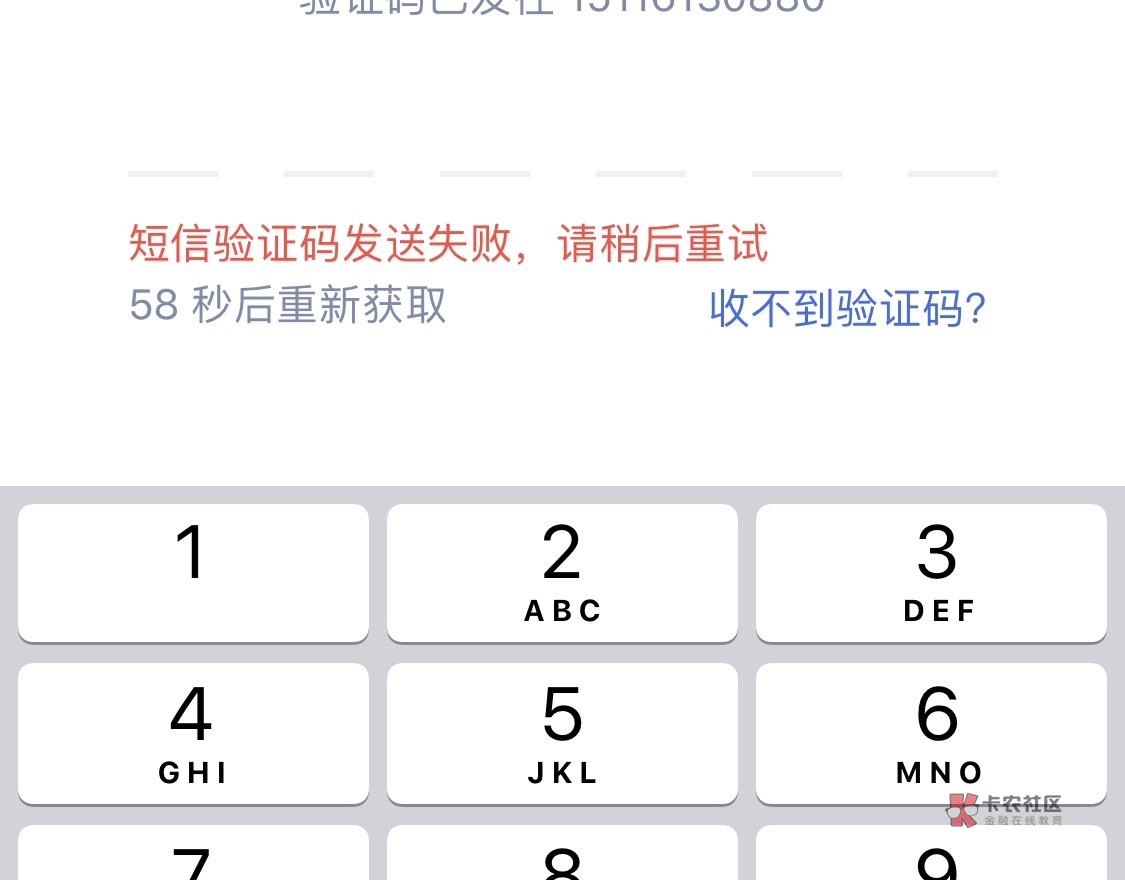 纸飞机app收不到验证码,纸飞机app收不到验证码怎么办