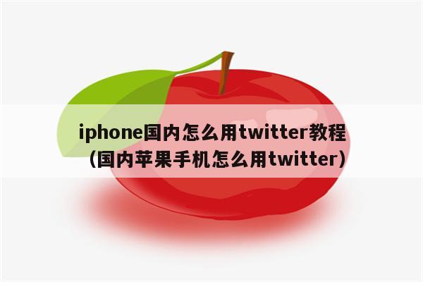 苹果手机怎么登陆twitter,苹果手机怎么登陆instagram