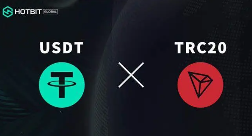 usdt公认最安全的钱包,usdt放在什么钱包最安全