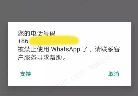 关于whatsapp手机版怎么加好友的信息