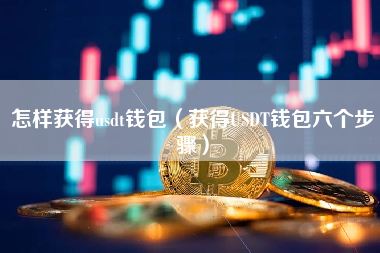 usdt货币钱包有那些,usdt存在钱包哪个种类里