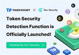 tokenpocket.cn,tokenpocketcn icu