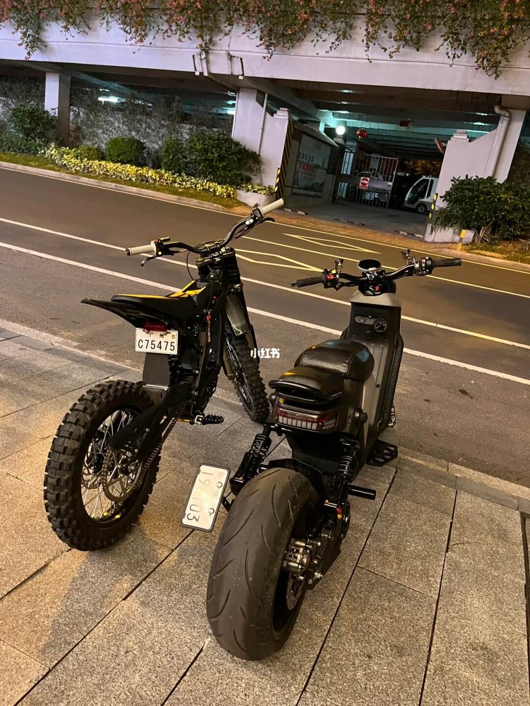 轻蜂加速器,轻蜂加速器永久免费版下载
