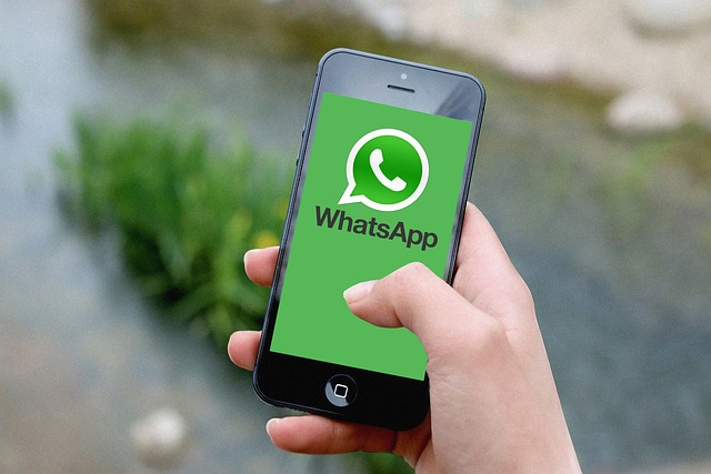 whatsapp下载2023最新,whatsapp下载2023最新版