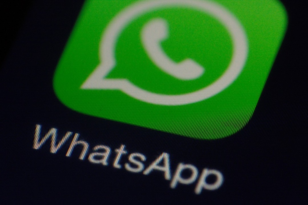 官方whatsapp下载不了,whatsup下载安卓手机版官方