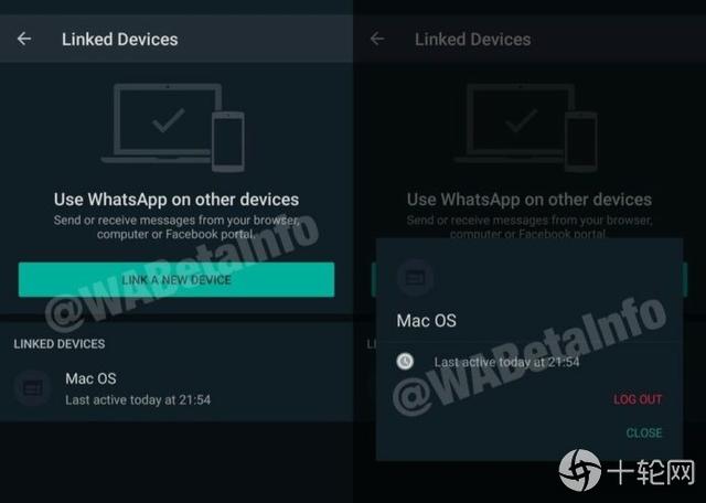 手机下载whatsapp不能用,为什么下载了whatsapp用不了