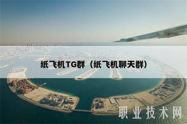 Tg纸飞机官方下载,纸飞机testflight