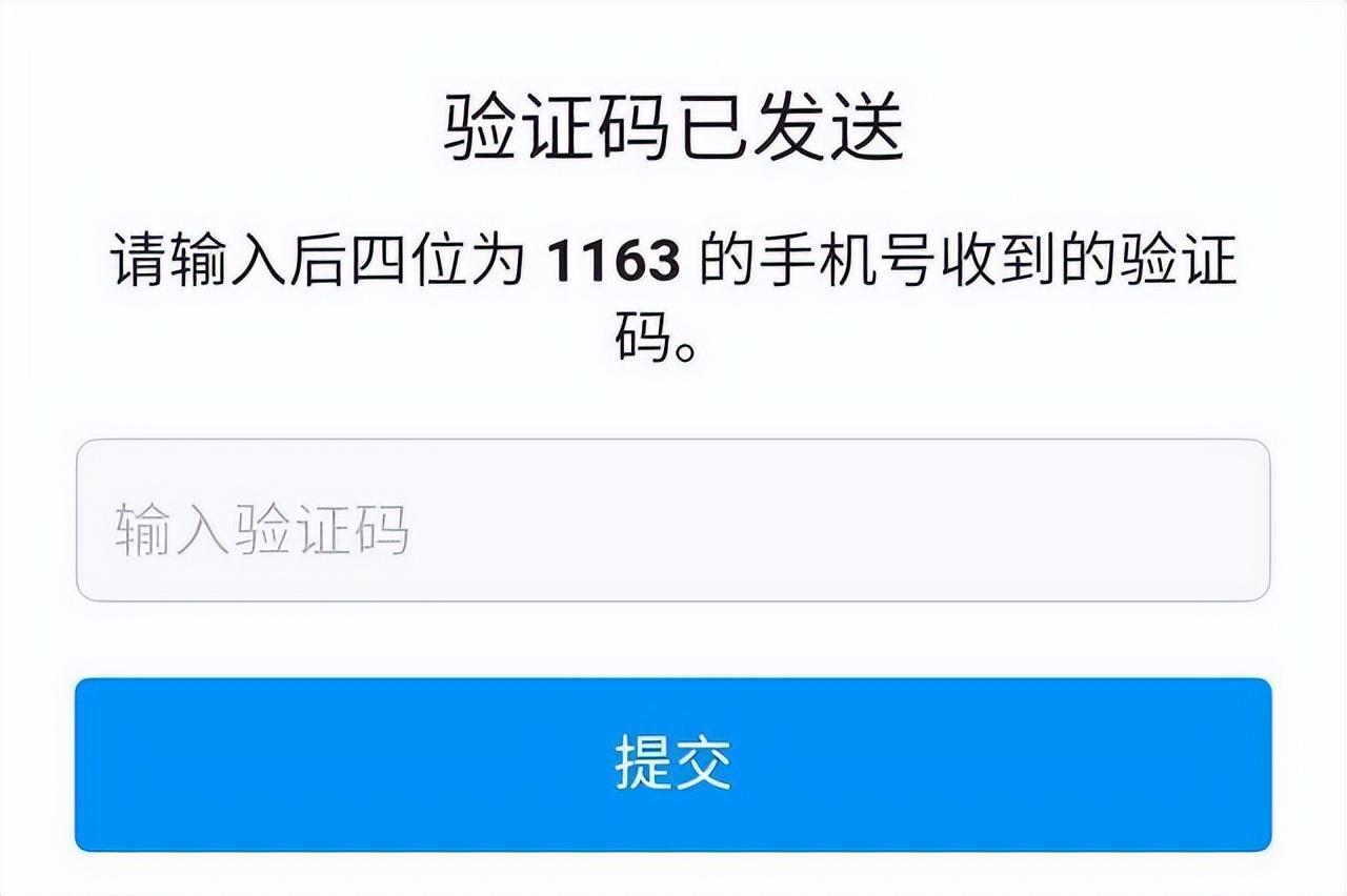 纸飞机中文收不到验证码怎么办,纸飞机中文收不到验证码怎么办呢