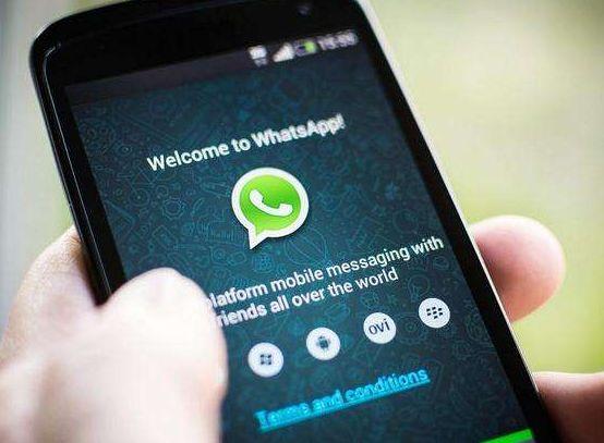 whatsapp发不出去消息,whatsapp不能发送图片和文件怎么办