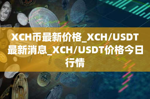 usdt数字货币,usdt数字货币骗局