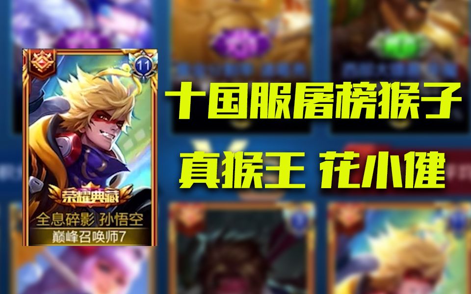 国服电报猴子,电报猴子盒20