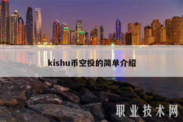 kishu币的价格,kishu币价格今日价格