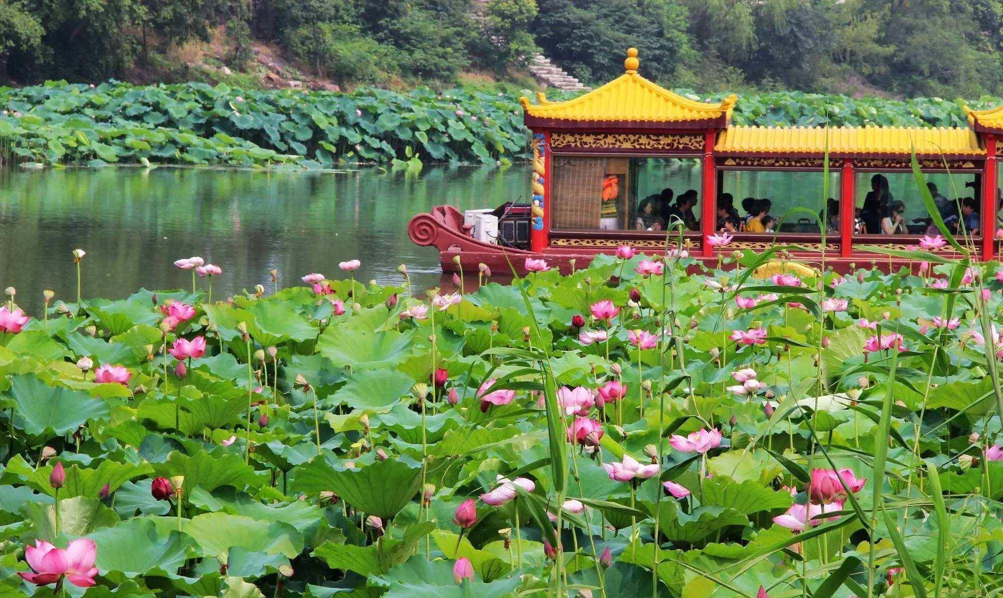 急转花app下载,急转头打个花就走花的意思