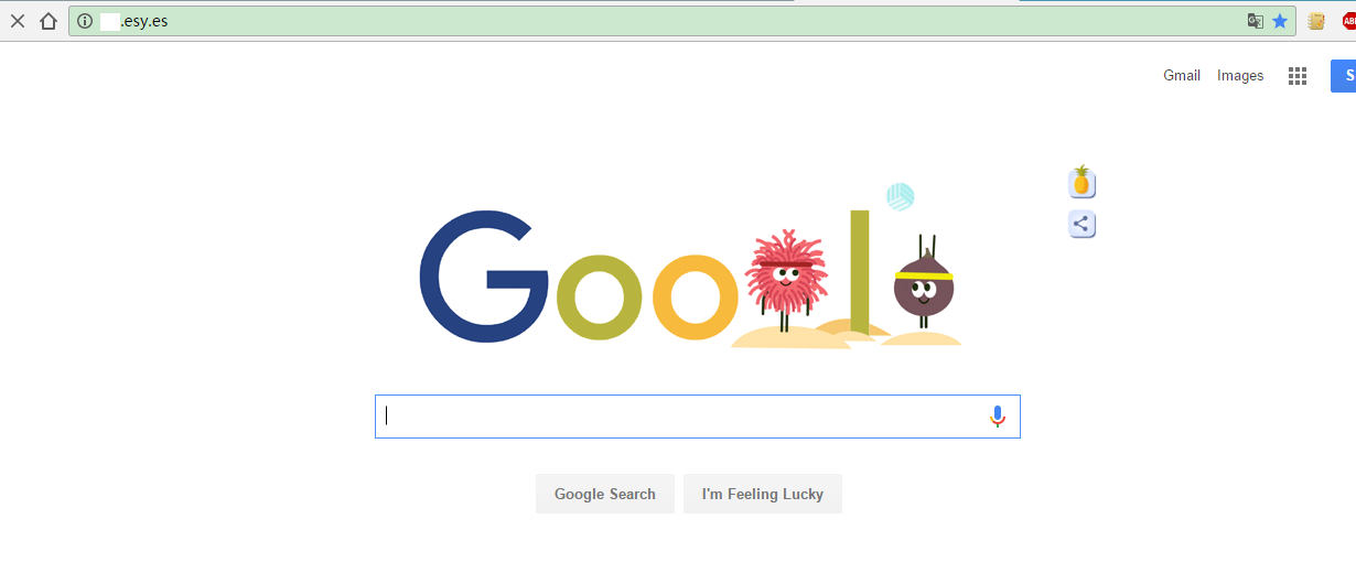 google.com_googlecomau