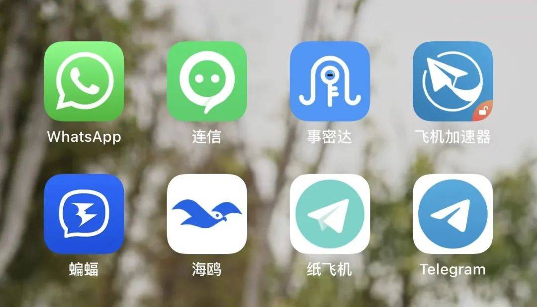 包含纸飞机APP中文版的词条