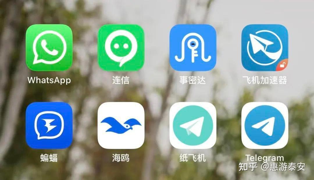 纸飞机社交app_纸飞机社交软件是谁发明的