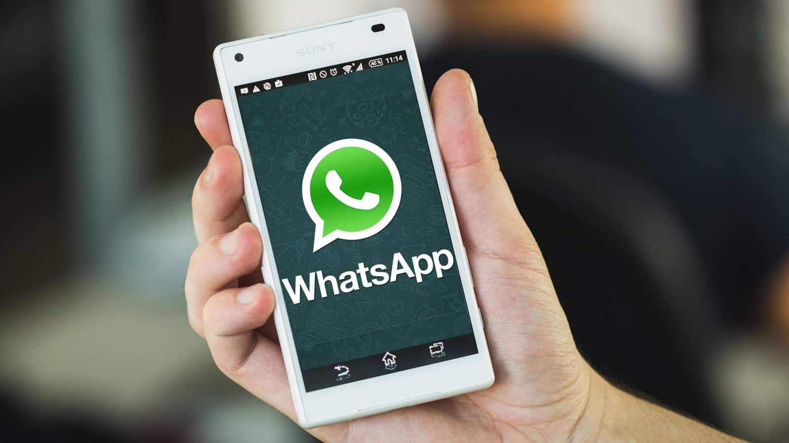 whatsapp香港号码验证_香港whatsapp怎么加好友