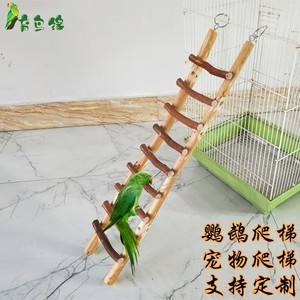 梯子游戏正规直营平台_梯子游戏正规直营平台是什么
