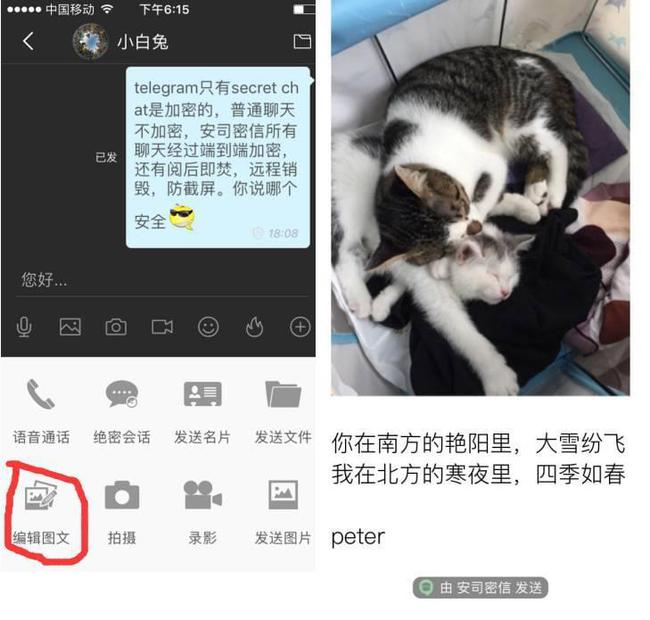 telegraph群发软件_telegeram官网版下载