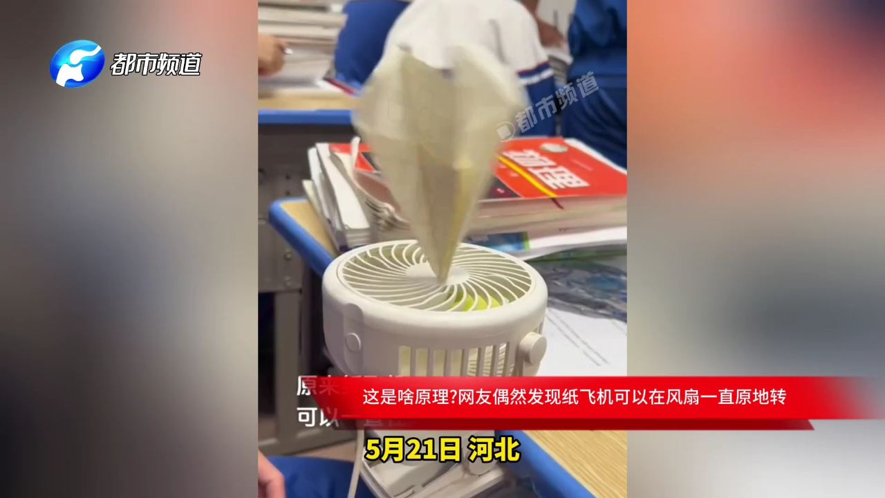 纸飞机如何转换中文版_纸飞机怎么转换成中文版?