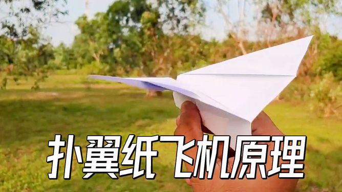 纸飞机为什么进不去_纸飞机为什么进不去链接