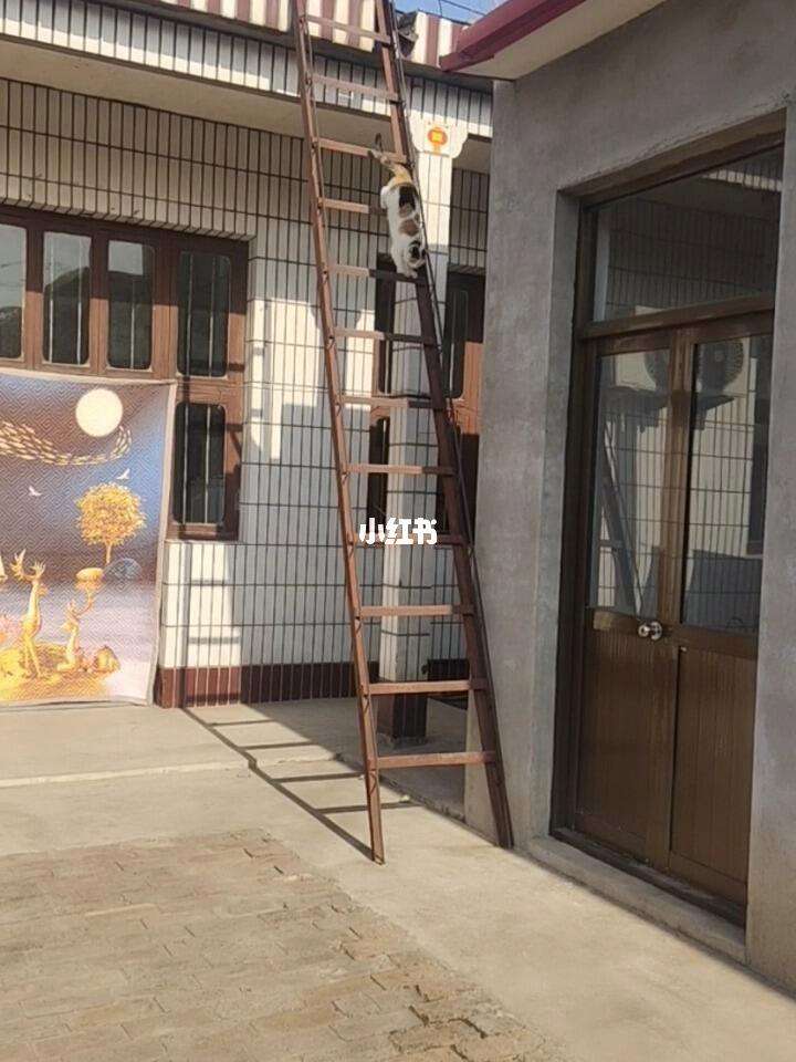农村家用梯子怎么做_居家梯子的做法与步骤