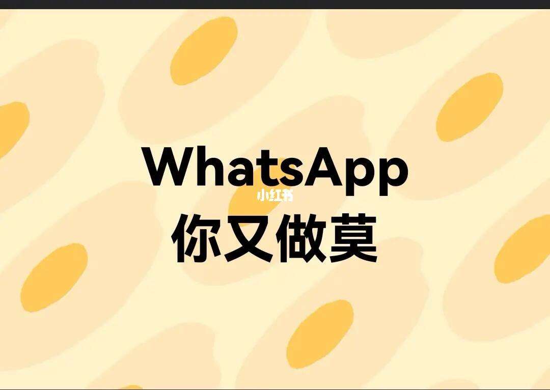 what'sapp安卓版下载_whatsapp安卓版下载官网