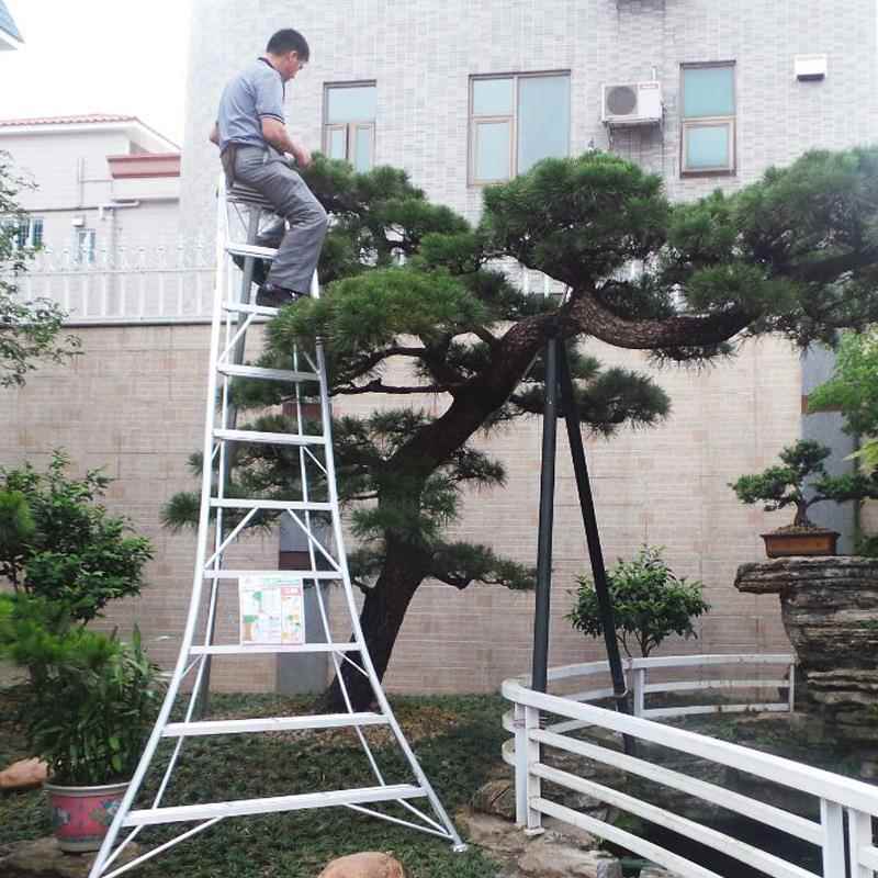 果树专用梯子品牌_果树专用梯子品牌排行榜
