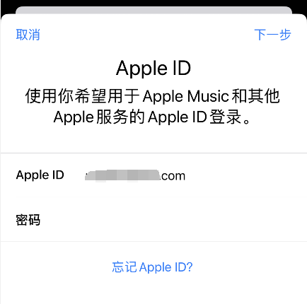 skype为什么苹果手机下载不了了_skype苹果版下载不了只能下载business