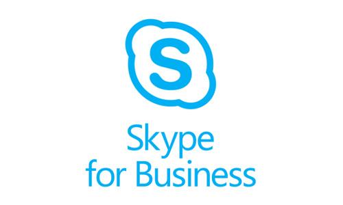 skype是啥意思?_skype是什么意思英文