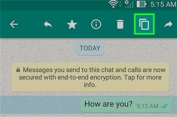 whatsapp官方网站最新版正版免费下载_whatsapp官方网下载安卓2020手机版