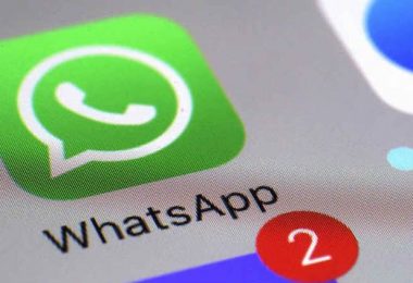 关于whatsappapplicationdownload的信息