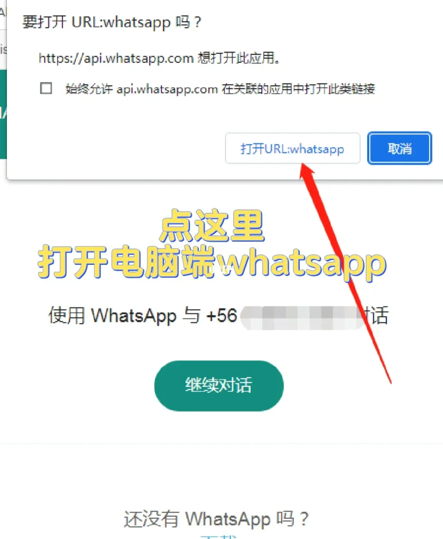 电脑版的whatsapp怎么下_电脑版的whatsapp怎么下载
