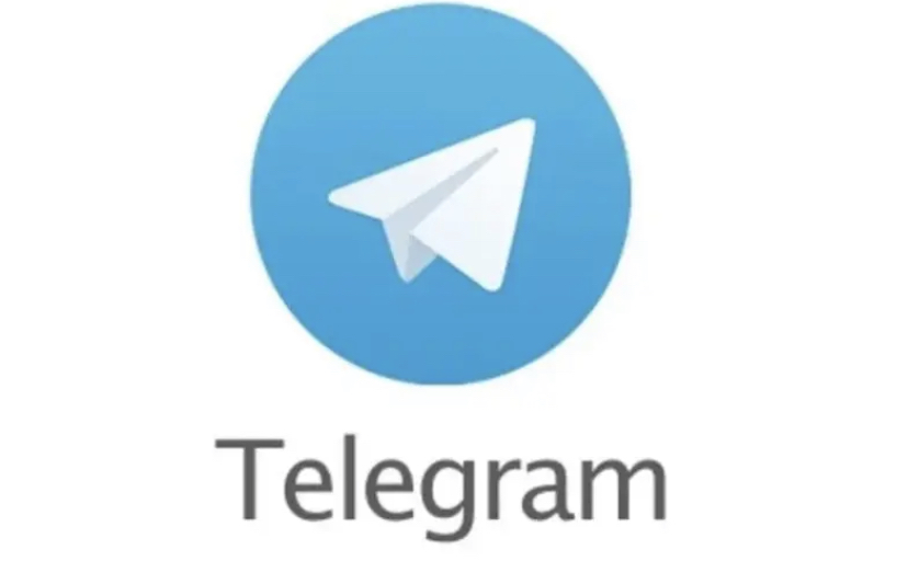 纸飞机中文版怎么设置_纸飞机中文版怎么设置代理