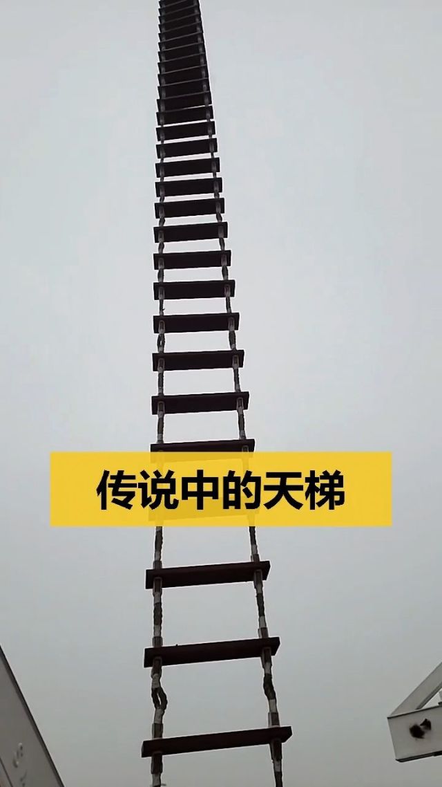 加速梯子贴吧_加速梯子贴吧怎么用