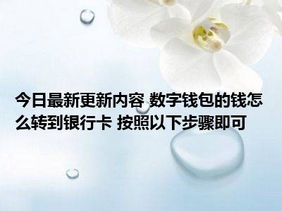 数字钱包的钱怎么转到银行卡_数字钱包的钱怎么转到银行卡里