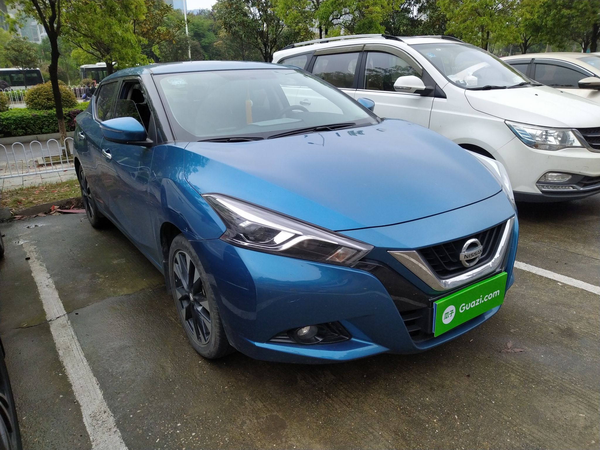 蓝鸟车2019款怎么下载软件_蓝鸟车2019款怎么下载软件安装