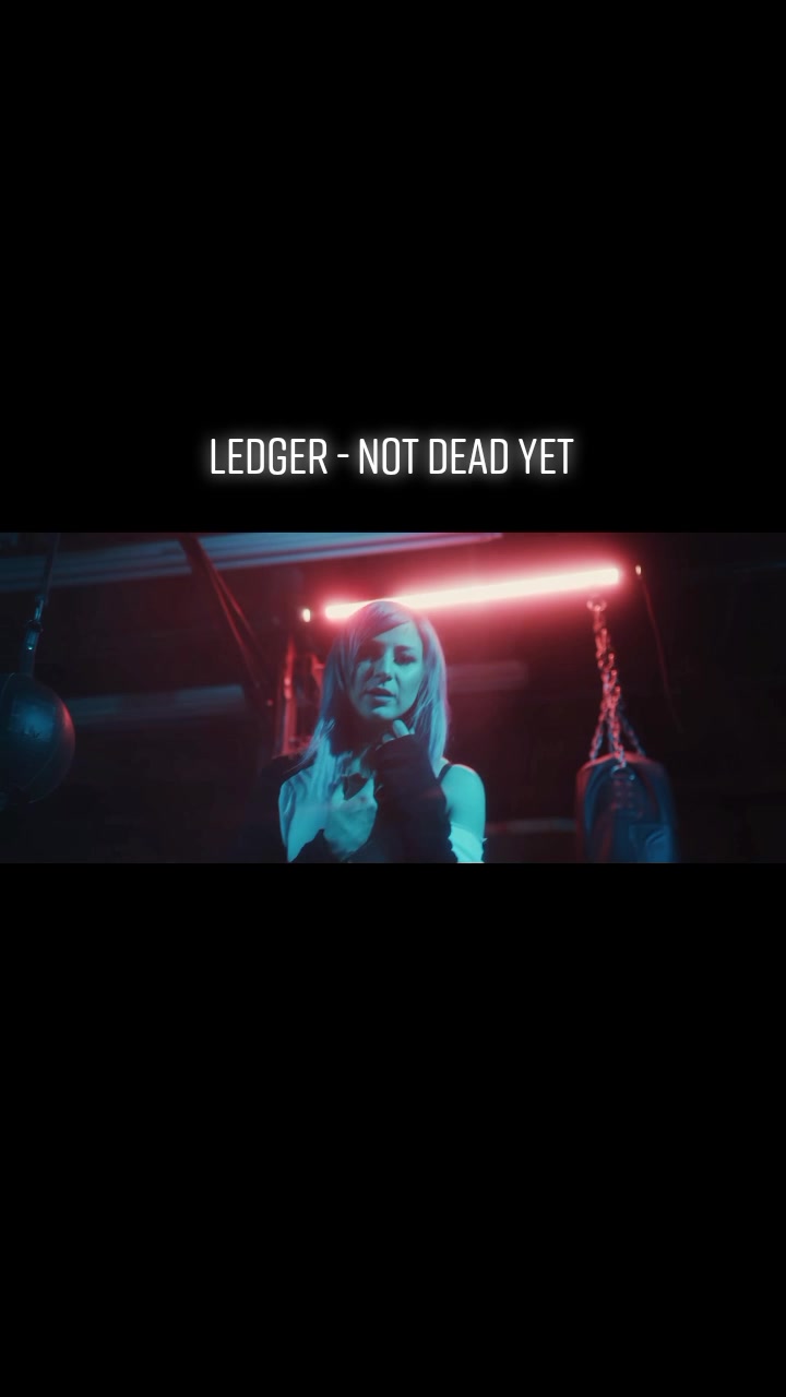 ledger翻译_ledger 翻译