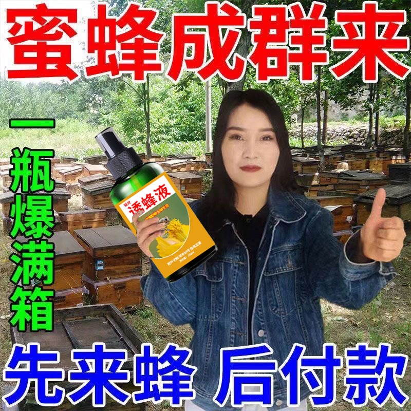 蜜蜂加速器app官网下载_蜜蜂加速器官网版最新版下载