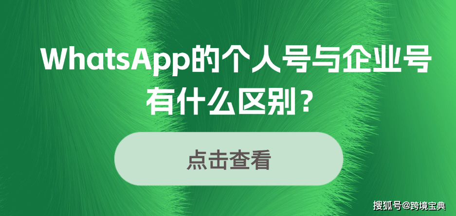 whatsapp简称什么_whatsapp中文叫什么名字